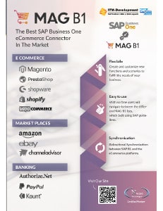 ITM Dvelopment Mag B1 e-commerce and market place connector for SAP Business One