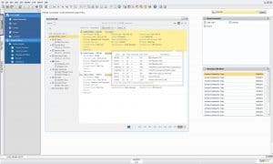 SAP Business One for Enterprise screenshot