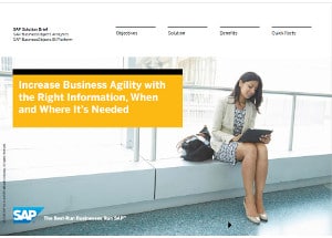 SAP Business One Busines Intelligence BI