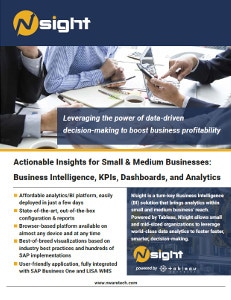 N'sight business intelligence for SAP Business One