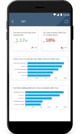 SAP Business One KPI analysis on a mobile