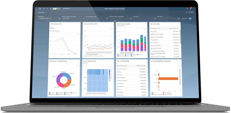 SAP Business One dashboards with graphs and pie charts on a laptop