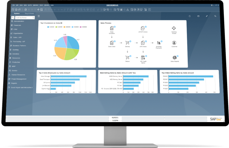 SAP Business One interface showing graphs and a pie chart on a computer monitor